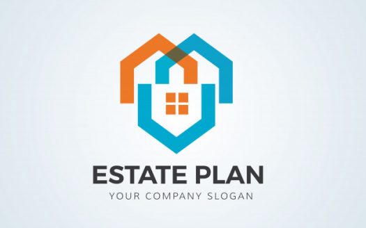 Developer Image
